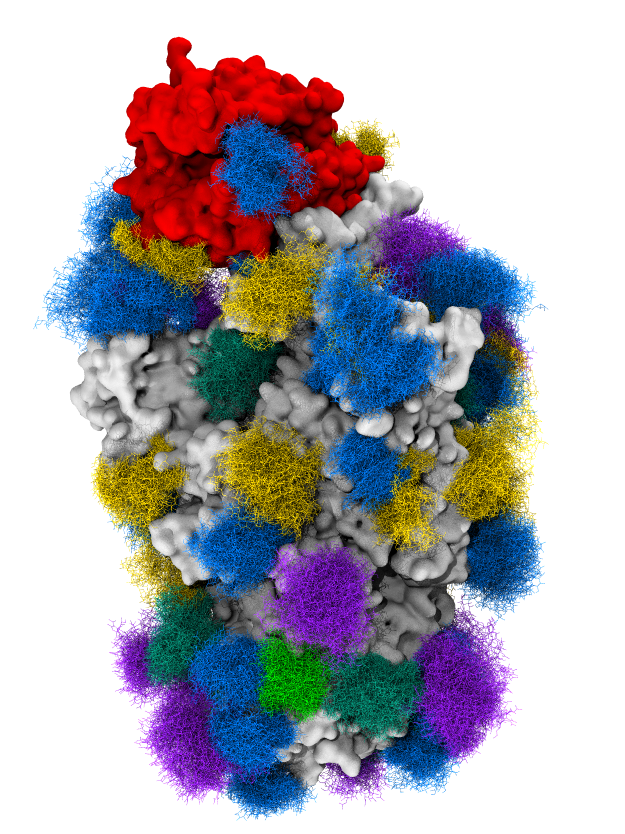 News - Complex Carbohydrate Research Center