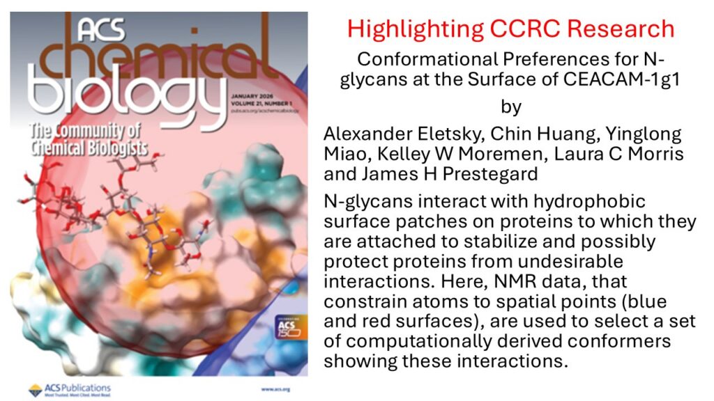 Cover of ACS Chemical Biology journal with abstract models of molecules and text summarizing research on N-glycans interacting with protein surfaces, authored by Eletsky et al.